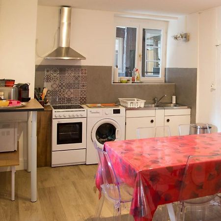 Appartement Le Bain Aux Plantes Strasbourg Bagian luar foto